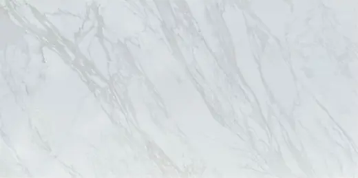 Carrelage MAGNIFIQUE POLISHED V, 60 × 120 cm