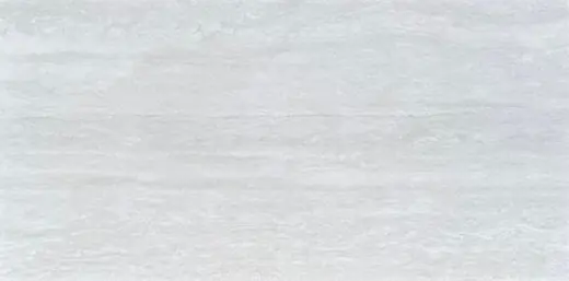 Carrelage JENSINE GREY MATE, 60 × 120 cm
